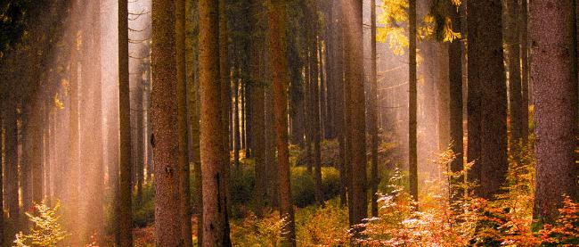 AdobeStock_252864165